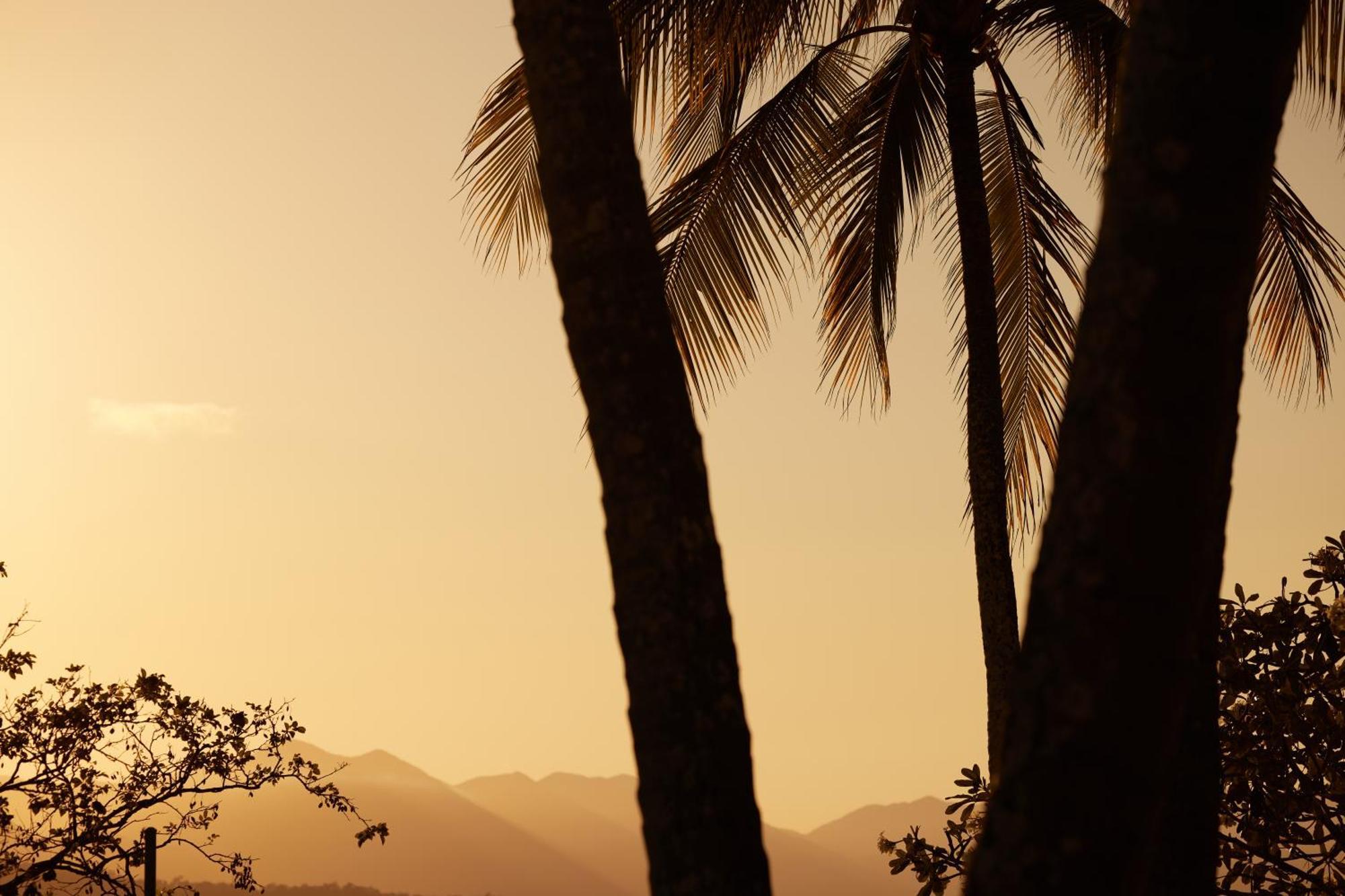 'The Edge' Unique Luxury Experience Villa Port Douglas Bagian luar foto